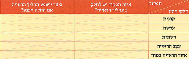 (בספר איור, היעזרו במנחה)